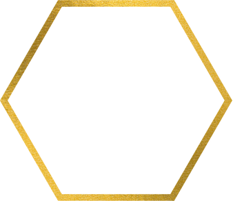 Gold Hexagon Border